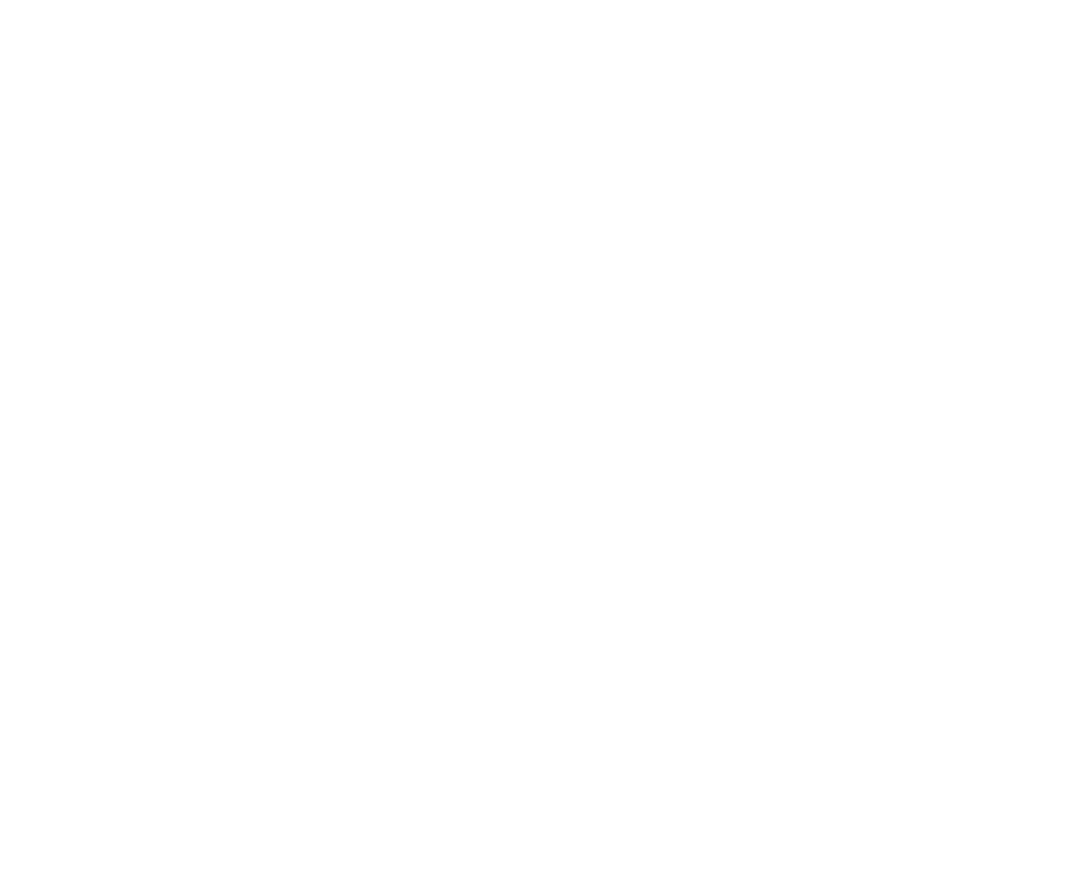 Team V